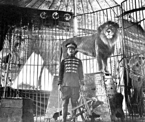 domador y leones del circo