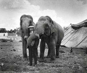 Domador y elefantes del circo beas